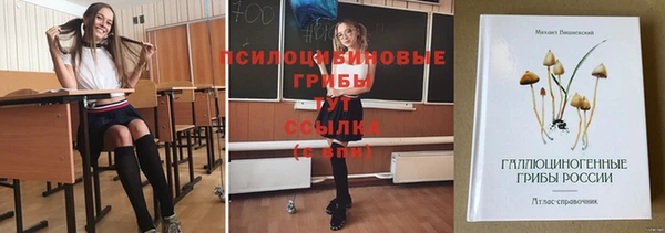 амф Белоозёрский