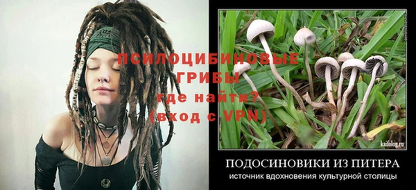 амф Белоозёрский